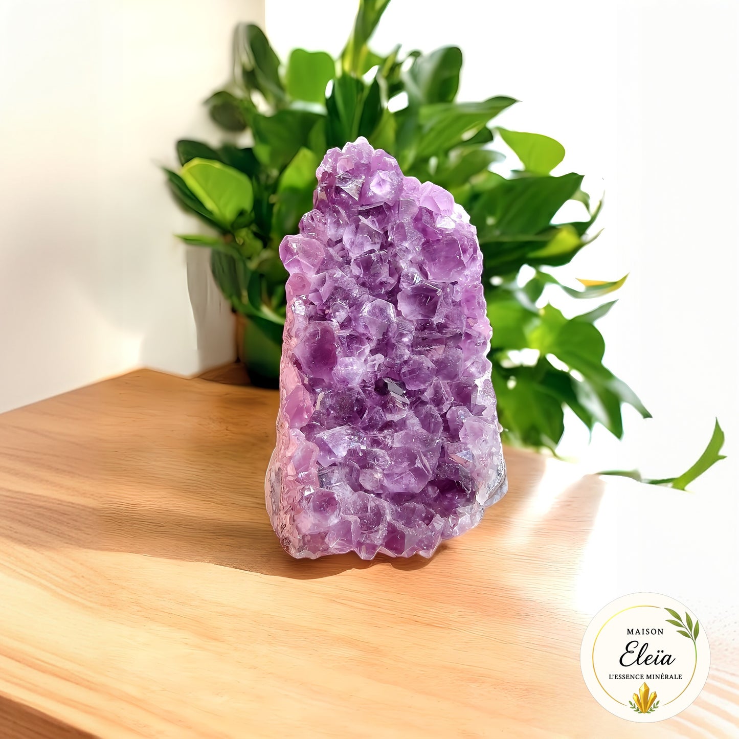 Géode "Trésor Violet" – Améthyste d’Uruguay - Apaisement & Beauté Naturelle- 611g