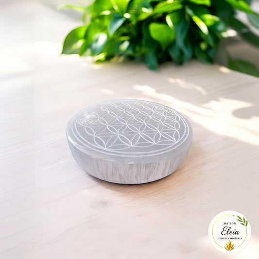 Plaque fleur de vie Sélénite Maroc 8cm