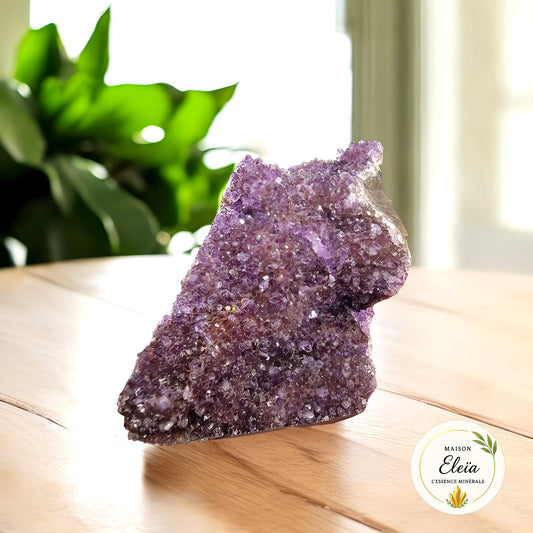 Géode Améthyste Uruguay 692g