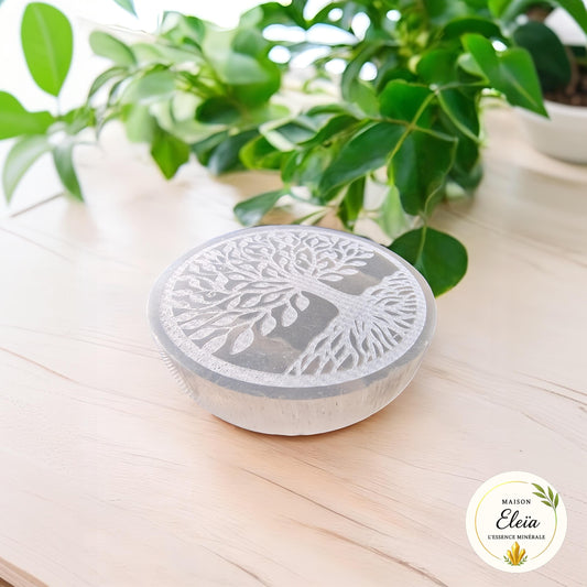 Plaque Arbre de vie Sélénite Maroc 8cm