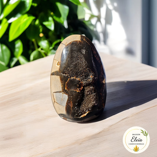 Septaria sauvage Madagascar "Ancrage profond & sérénité" 1.158kg - Géode décorative