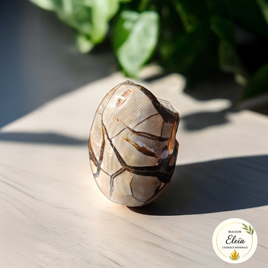 Septaria sauvage Madagascar 797g