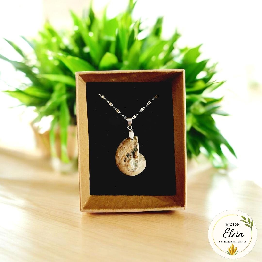 Collier Ammonite & Acier inoxydable