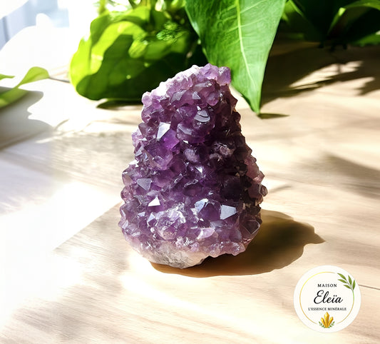 Géode Améthyste Uruguay 560g – Pierre naturelle de protection et méditation