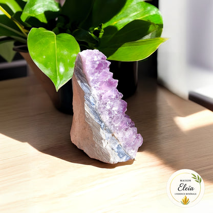 Géode "Trésor Violet" – Améthyste d’Uruguay - Apaisement & Beauté Naturelle-  611g