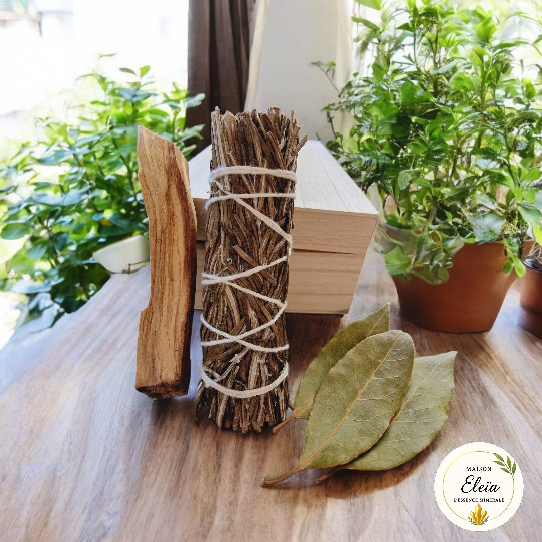 Box "Purification & Rechargement "