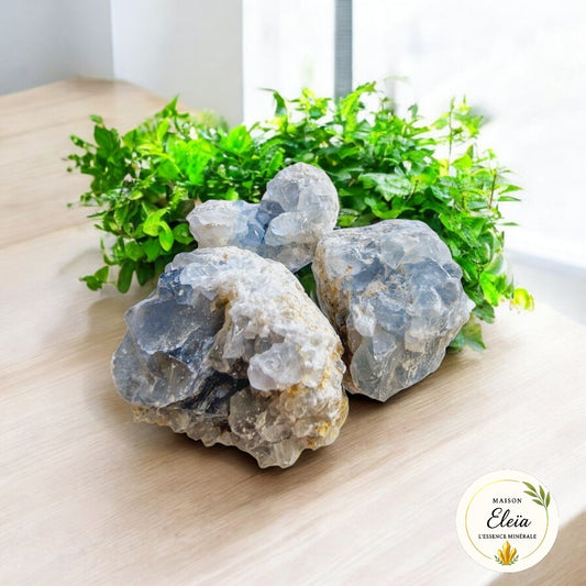 Lot 3 druses de Célestine Madagascar 565g "Pierre des Anges"