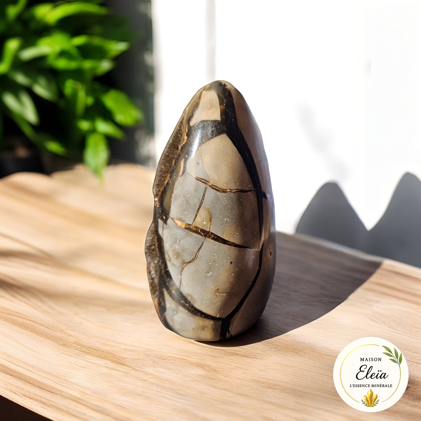 Septaria sauvage Madagascar "Ancrage profond & sérénité" 1.158kg - Géode décorative