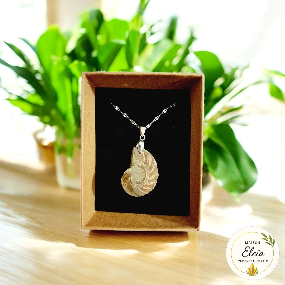 Collier Ammonite & Acier inoxydable