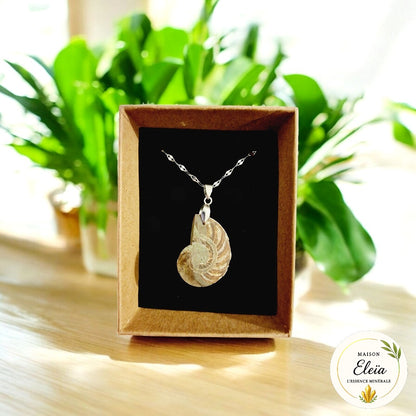 Collier Ammonite & Acier inoxydable