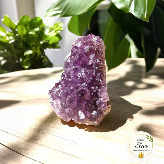 Géode Améthyste Uruguay 560g – Pierre naturelle de protection et méditation