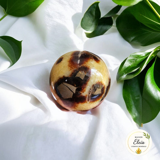 Sphère Septaria Madagascar 325g