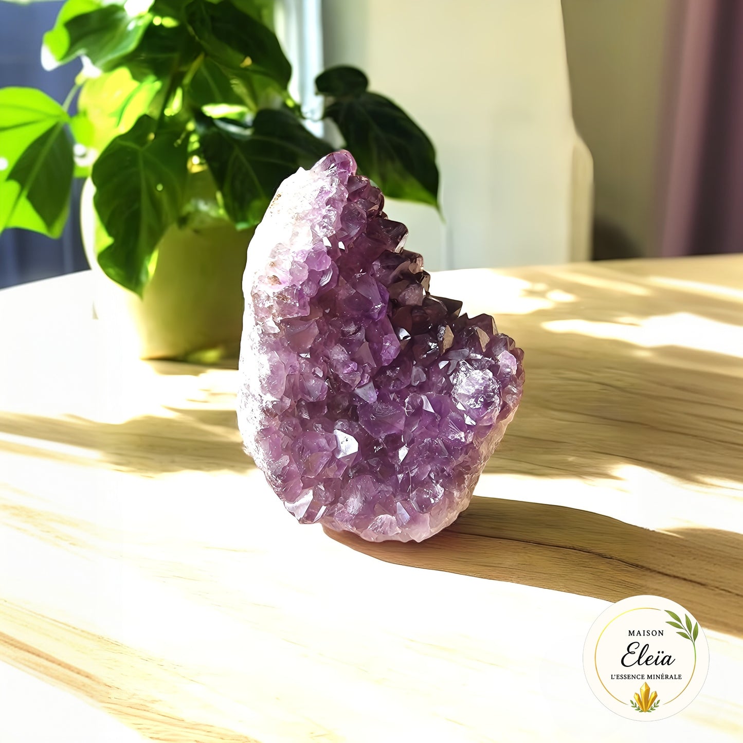Géode Améthyste Uruguay 560g – Pierre naturelle de protection et méditation