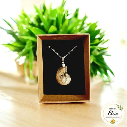 Collier Ammonite & Acier inoxydable