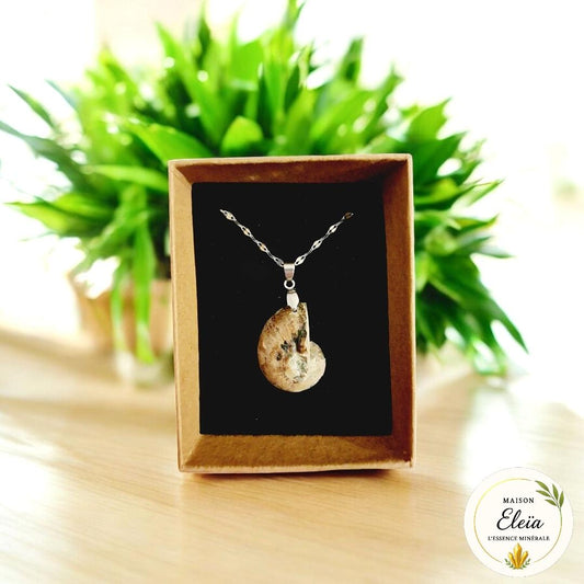 Collier Ammonite & Acier inoxydable