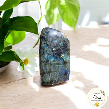 Labradorite Bleue A - 308g de Protection et d'énergie Mystique