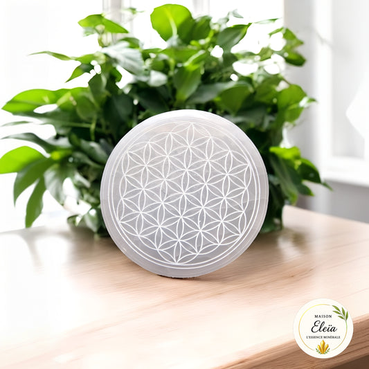 Plaque fleur de vie Sélénite Maroc 8cm