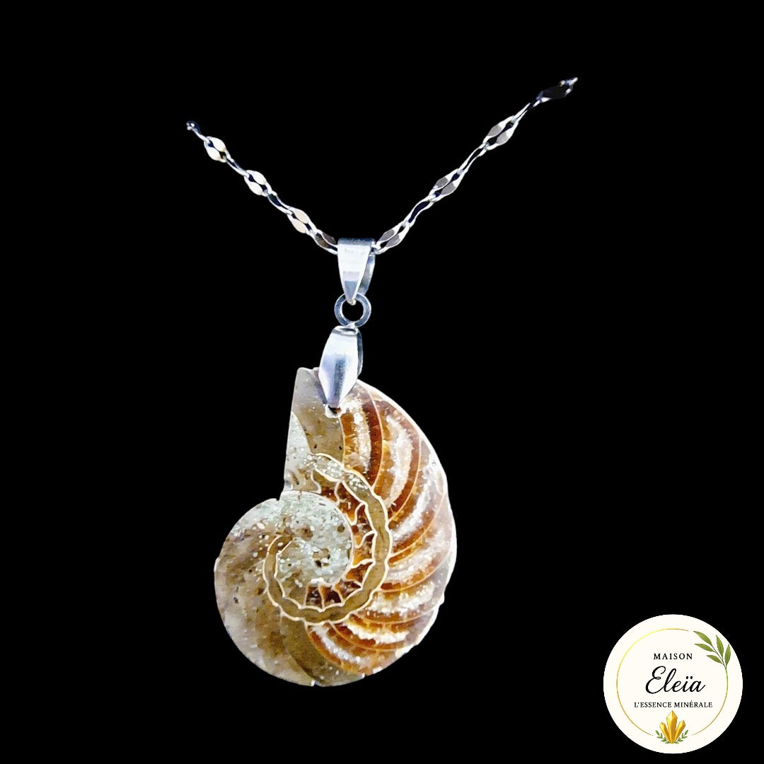Collier Ammonite & Acier inoxydable