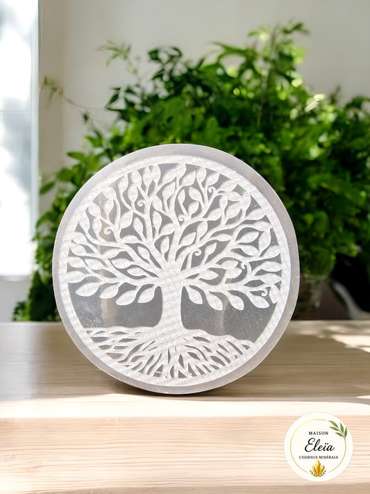 Plaque Arbre de vie Sélénite Maroc 8cm
