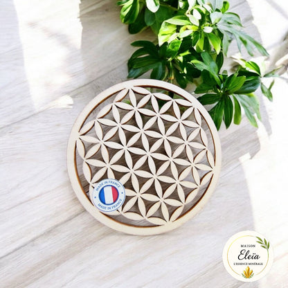 Box "Purification & Rechargement "